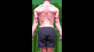 How To Get Bigger Arms FAST! 💪