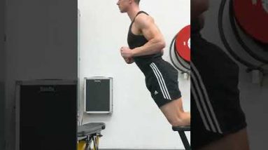 Gym Vs Calisthenics  - LEGS 🦵