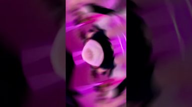 COMMENT BELOW : If you were a Spice Girl . . . Which One Would You Be? | POPSUGAR Fitness