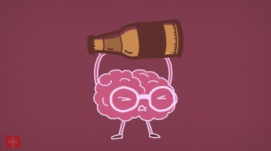 Can One Beer KILL BRAIN Cells