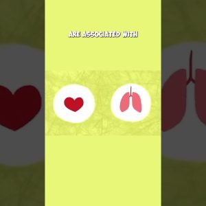 How MEDITATION WORKS in your BRAIN #shorts