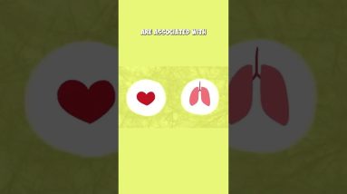 How MEDITATION WORKS in your BRAIN #shorts