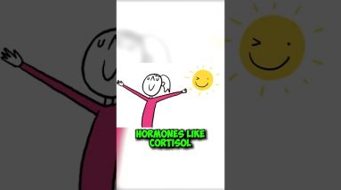 How Sleep Timings Affect Your Health and Mood #shorts