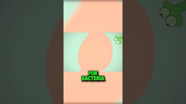 Side Effects of Drinking TEA Early in the Morning #shorts