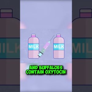 What you should know about MILK And DAIRY #shorts