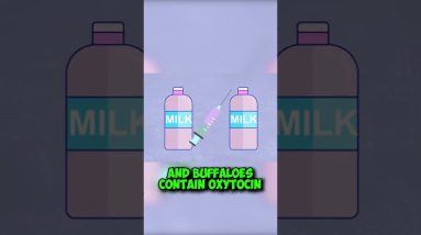 What you should know about MILK And DAIRY #shorts