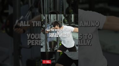 Whey or Casein ? #shorts