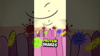 Whey Protein REALLY Safe ? #shorts