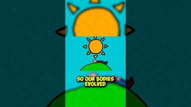 Why Do We NEED To SLEEP #shorts