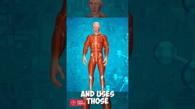 Eating your way to BIGGER MUSCLES #shorts