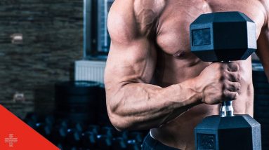 The 8 reasons you're NOT BUILDING MUSCLE