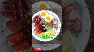 VEGAN vs VEGETARIAN what's the difference #shorts