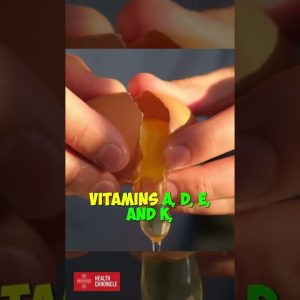 What Is EGG PROTEIN #shorts