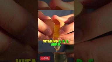 What Is EGG PROTEIN #shorts