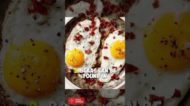 5 Facts about BRANCHED-CHAIN AMINO ACIDS #shorts