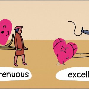 Can High Intensity Exercise DAMAGE The Heart