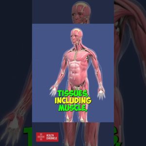 Explain HYPERTROPHY in 1 minute #shorts