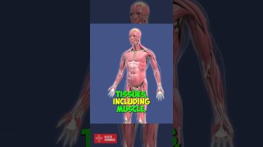 Explain HYPERTROPHY in 1 minute #shorts