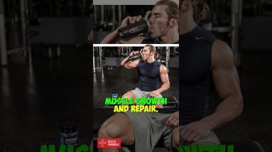 INTRA WORKOUT supplements what do they do #shorts