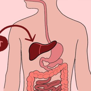 11 Signs Your Liver is DAMAGED