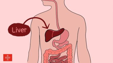 11 Signs Your Liver is DAMAGED