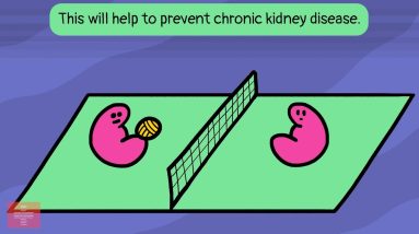 How Should I Look After My Kidneys