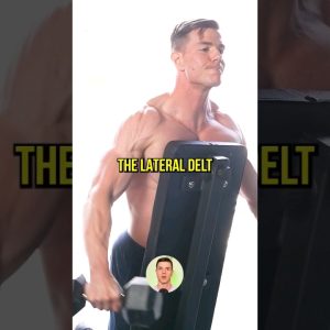 How To Build "3D Delts"