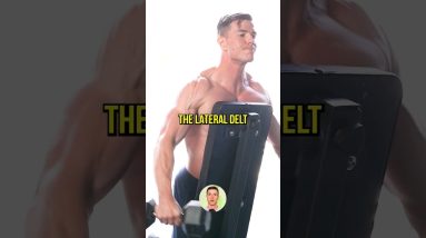How To Build "3D Delts"