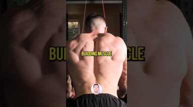 Get a Bigger Back Without Weights