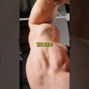 Build Bigger Biceps Without Weights