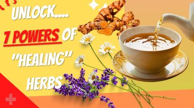 7 Powers of HEALING HERBS