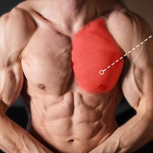 The Most Brutal Chest Workout (BODYWEIGHT ONLY)