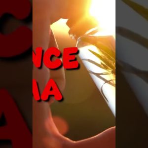 Uncovering the Surprising Health Benefits of Essential Oils You Didn't Know