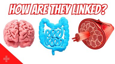 Mind Over Body: How Mental Health Directly Impacts Your Physical Well-being