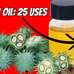 Ultimate Guide 25 Effective Uses for Castor Oil