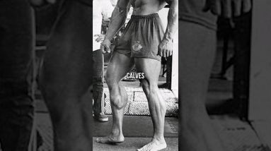 Want Bigger Calves? Train Like Arnold