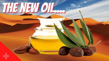 If You Like Castor Oil, Then Try Jojoba: The Desert's Beauty Secret!