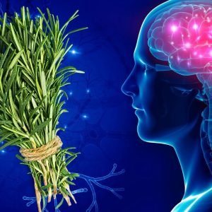 Is Rosemary a Secret Brain Boosting Superfood?