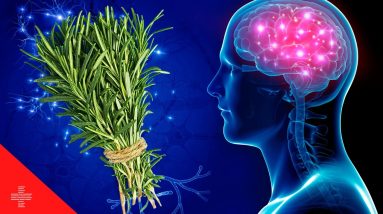 Is Rosemary a Secret Brain Boosting Superfood?