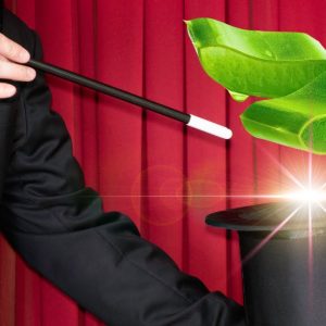 The Magic of Aloe Vera: Nature's Soother 🌱