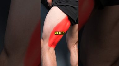 Bulletproof Your Hamstrings