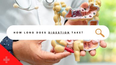 How Long Does It take For The Body to Digest Food?