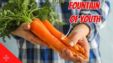 Carrots: The Orange Fountain of Youth ?