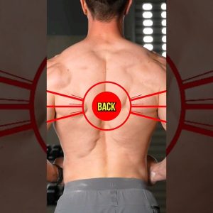 Get A Bigger Back With Calisthenics