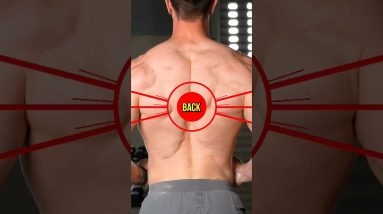 Get A Bigger Back With Calisthenics