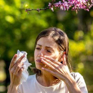 7 Herbal Remedies for Allergies