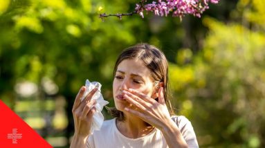 7 Herbal Remedies for Allergies