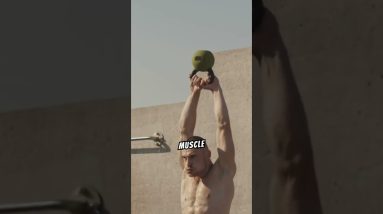 What is testosterone #creatorsearchinsights #testosterone #whatistestosterone #testosteronebooster