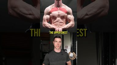 Build A Massive Chest Fast