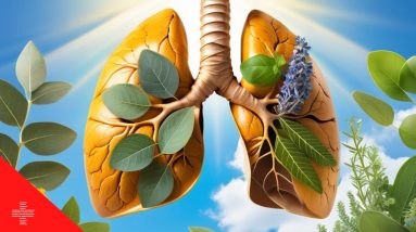 Detoxify Your Lungs with Natural Remedies